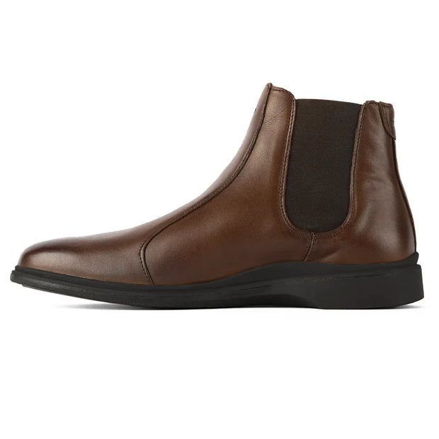 Amberjack The Chelsea (Chestnut & Mocha)