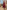 Reistor Deep V-neck Gathered Dress in Burgundy