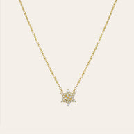 Zoe Lev Diamond Star Of David Necklace