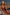 Gianine DOLCE BROWN Ribbed One Piece Brazilian Swimsuit