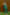 Gianine EMMA GREEN SHINE Long Dress