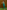 Gianine EMMA GREEN SHINE Long Dress