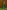Gianine EMMA GREEN SHINE Long Dress