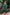 Gianine EMMA GREEN SHINE Long Dress