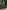 Gianine EMMA GREEN SHINE Long Dress