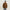 1989 STUDIO Brown Workwear Jacket