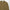 Ami Paris Bronze Ami De Coeur Sweatshirt