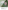 Ulivary Floral Olive Kimono Robe
