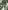 Ulivary Floral Olive Kimono Robe