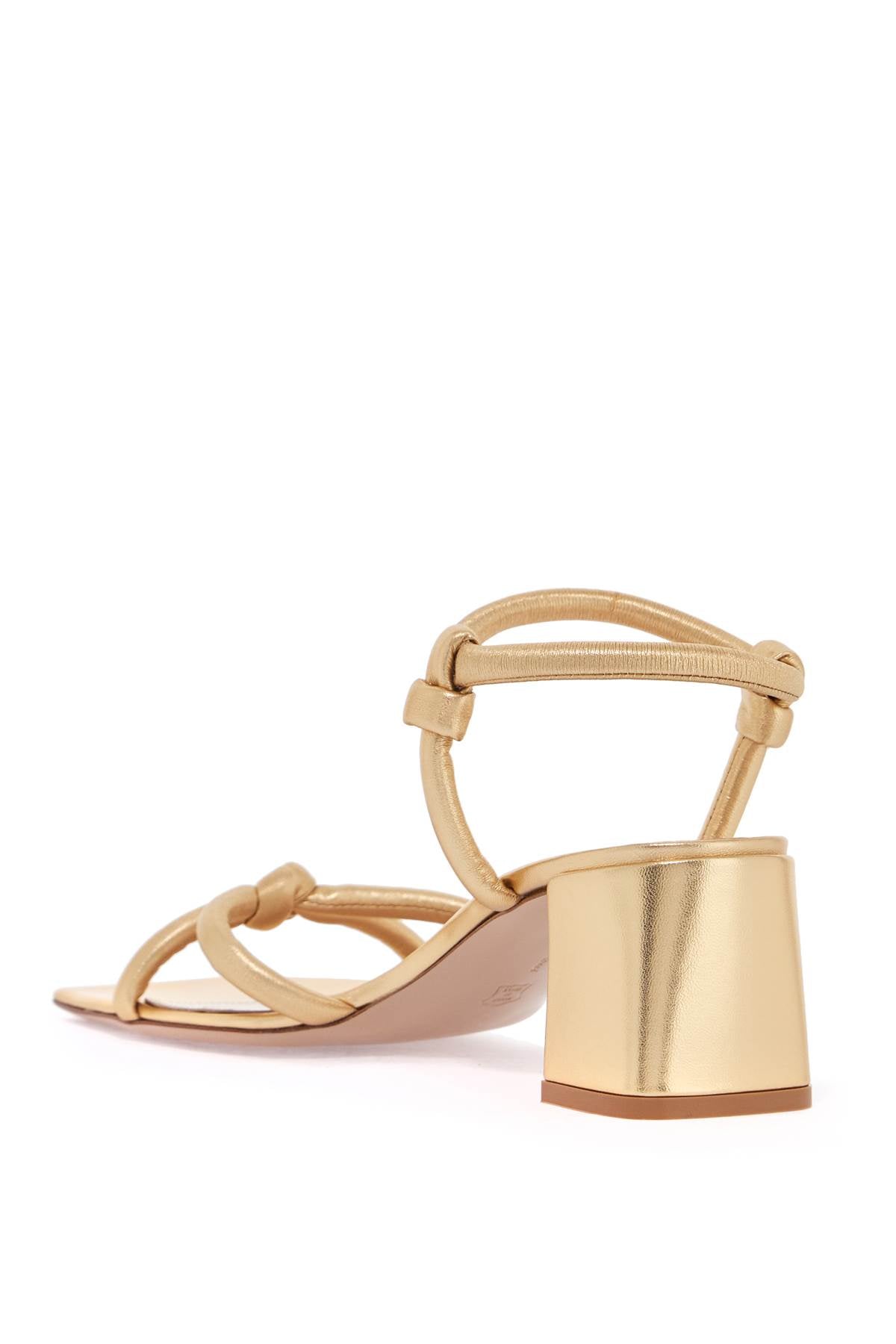 Gianvito Rossi Juno 55 Sandals