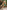 Gianine GEANNA GREEN SHINE  Cover Up Sarong
