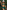 Gianine GEANNA GREEN SHINE  Cover Up Sarong