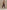Astoria LUXE BALANCE Full Length Legging - Espresso