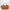 Longchamp Cashew Coloured Le Pliage Xtra Bag