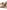 Larroude Florence Broderie Flat Sandal In Natural Raffia And Hazelnut Trimming