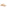 Larroude Milan Flat Sandal In Beige Raffia