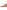 Larroude Blair Flat Mule In Tan Patent Leather