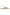 Larroude Georgina Ballet Flat In Beige Printed Raffia