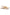 Larroude Georgina Ballet Flat In Beige Printed Raffia