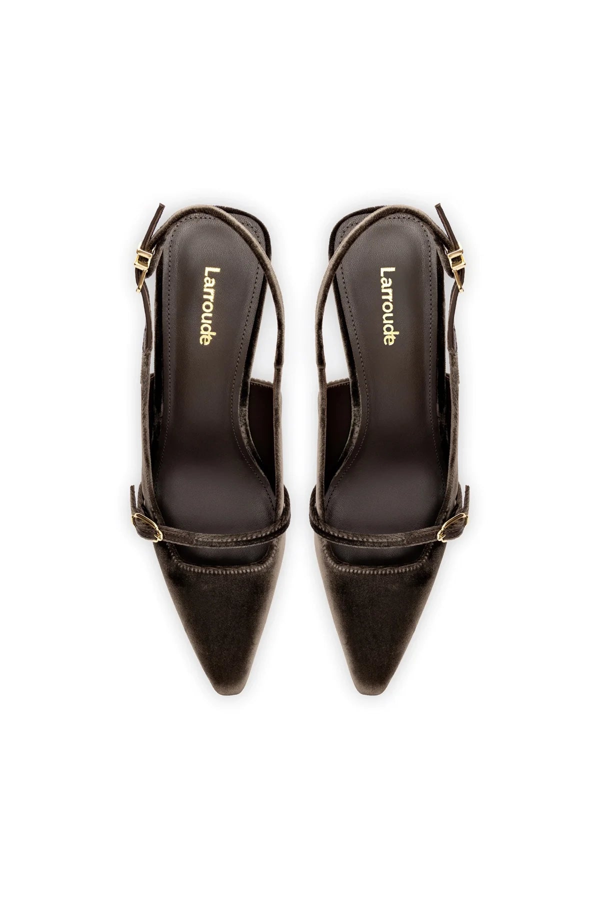 Larroude Ines Pump In Expresso Velvet