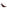 Larroudé X Altuzarra Pump In Burgundy Patent Leather