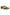 Larroude Stella Sneaker In Seaweed Suede and Ivory Leather