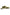 Larroude Stella Sneaker In Seaweed Suede and Ivory Leather