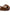 Larroude Zuzi Mule In Burnt Umber Patent Leather