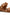 Larroude Florence Flat Mule In Light Caramel Leather