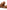 Larroude Florence Flat Mule In Light Caramel Leather