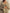 The Handloom Lucid Flow Tie Pants - Khaki Green