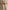 The Handloom Lucid Flow Tie Pants - Sand