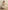 The Handloom Lucid Flow Maxi Dress - Sand