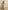 The Handloom Lucid Flow Maxi Dress - Sand