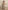 The Handloom Lucid Knot Top - Sand