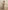 The Handloom Lucid Flow Tie Pants - Sand
