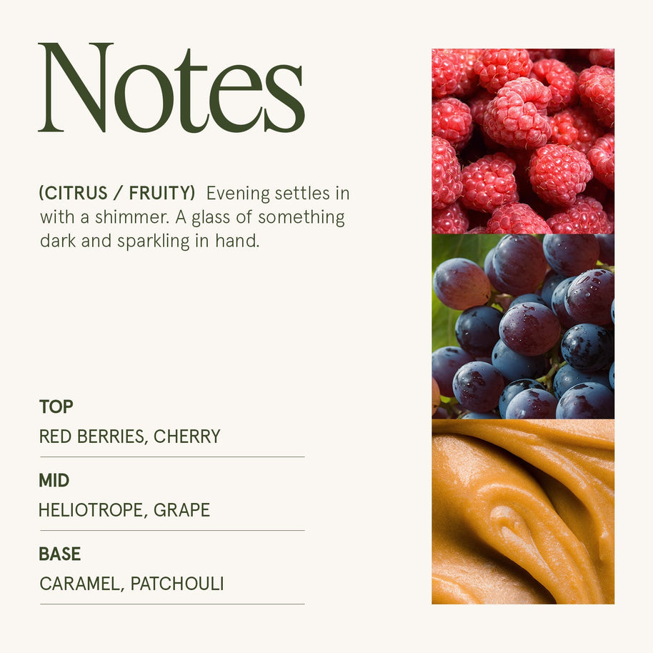 LA JOLIE MUSE Maelyn - Dark Berries & Bergamot 19oz Candle