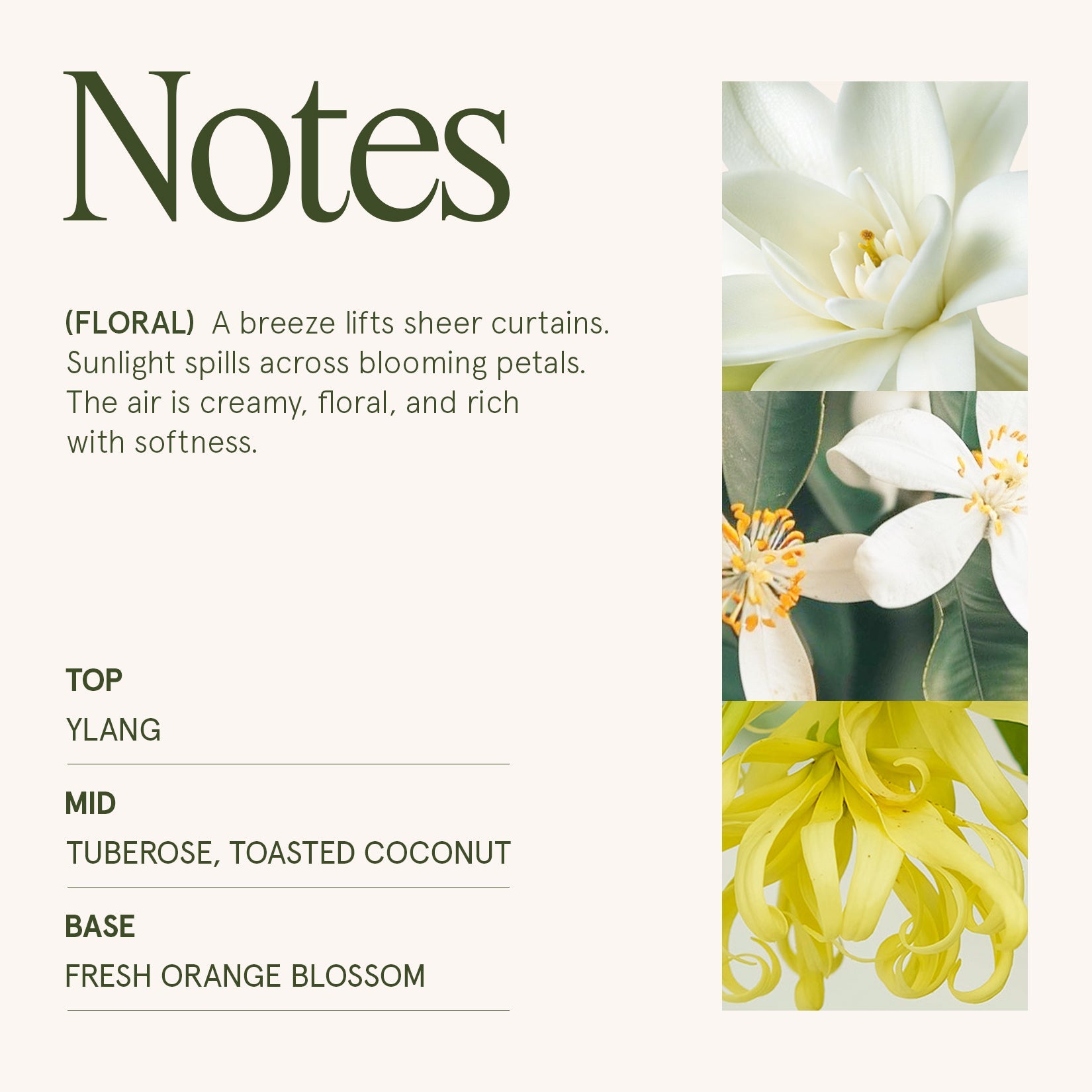 LA JOLIE MUSE Maelyn - Gardenia & Ylang Ylang 19oz Candle