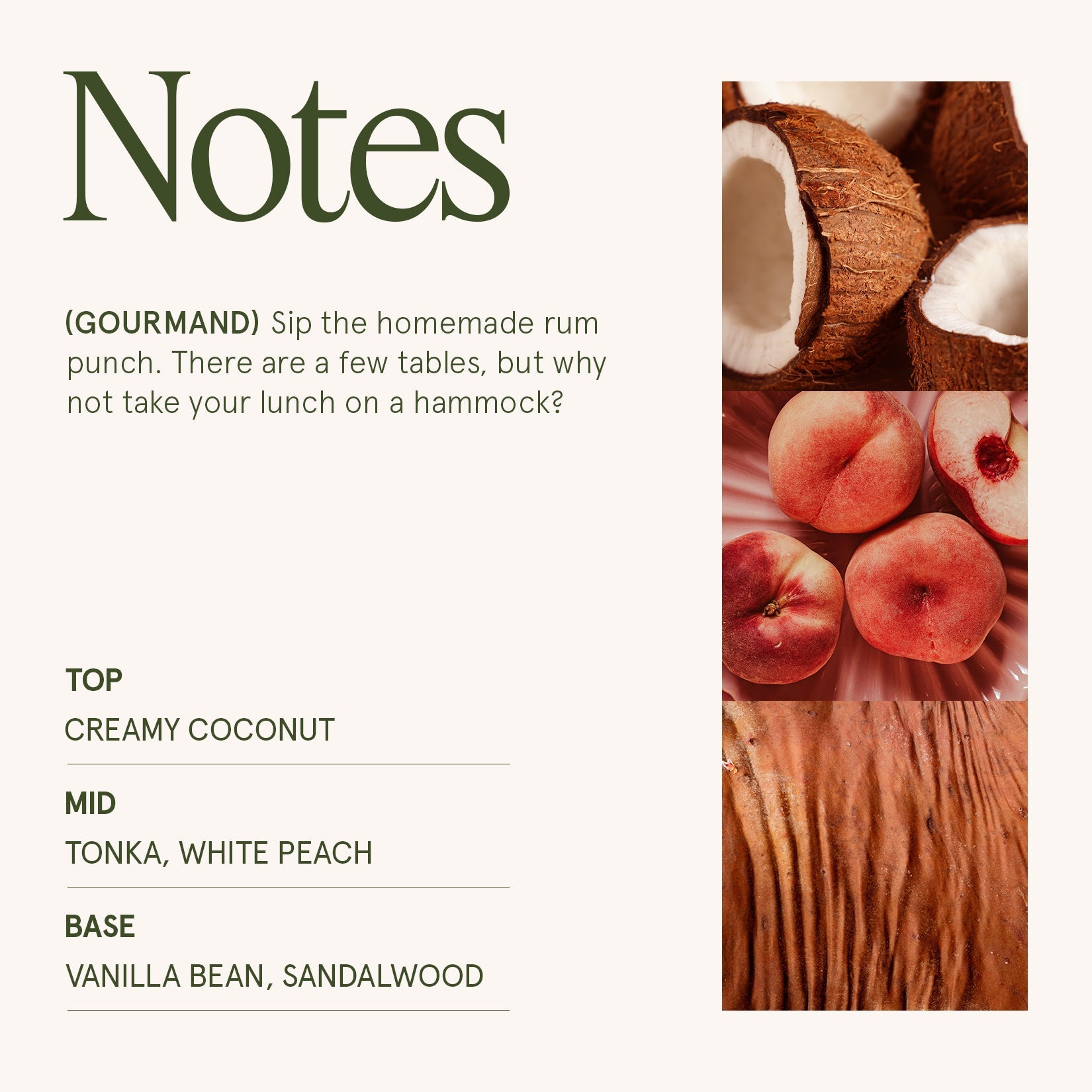 LA JOLIE MUSE Maelyn -  Island Coconut 19oz Candle