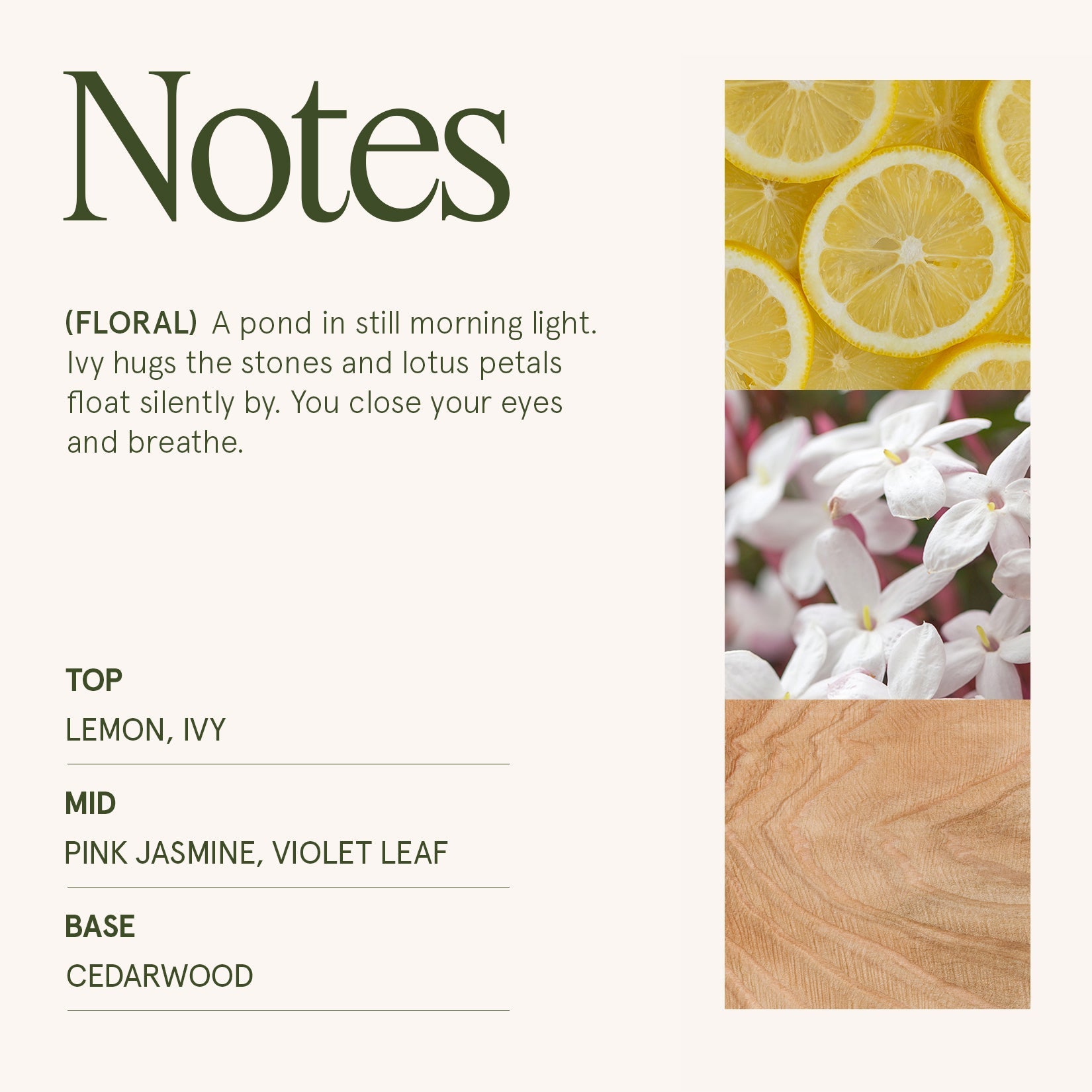 LA JOLIE MUSE Maelyn -  Jasmin Du Lotus 12oz Candle