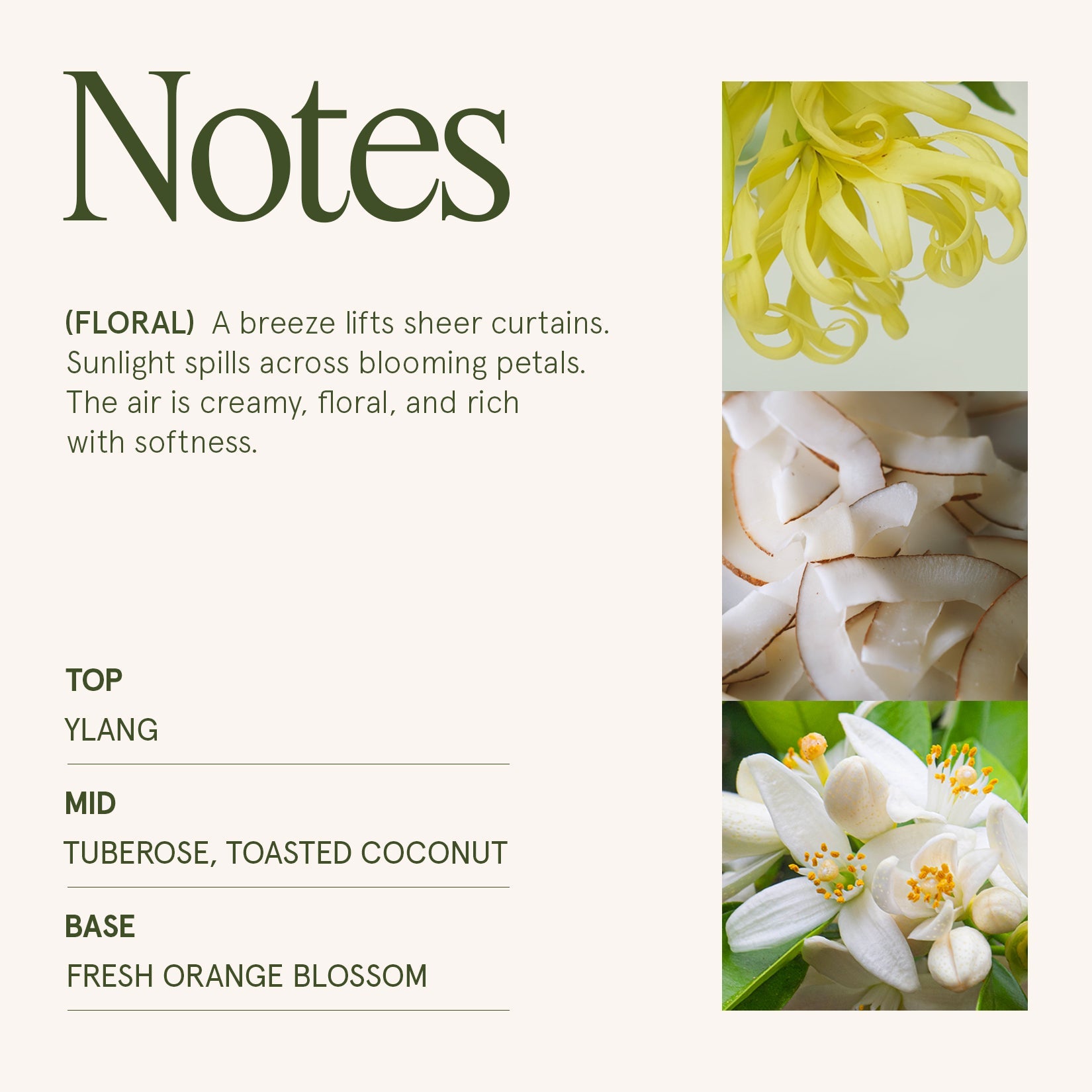 LA JOLIE MUSE Marvella - Champs De Tuberose 10oz Candle