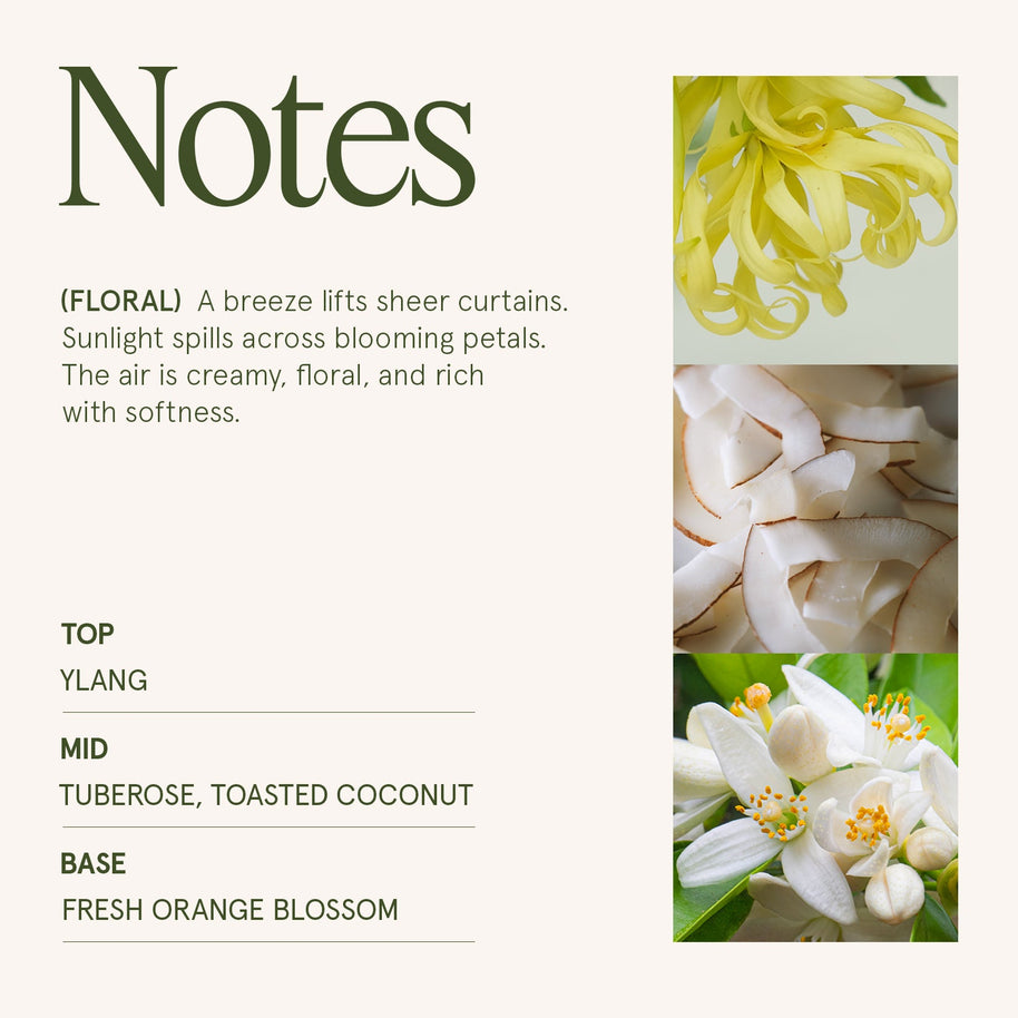 LA JOLIE MUSE Marvella - Champs De Tuberose 10oz Candle