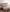Sunday Citizen Natural Premium Bamboo Fitted Sheet (more Colors)