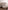 Sunday Citizen Natural Premium Bamboo Fitted Sheet (more Colors)