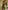 Ulivary Floral Olive Kimono Robe