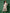 Ulivary Garden Crane Blush Kimono Robe