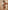 Ulivary Short Kimono Robe Landscape