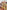 Ulivary Golden Spring Kimono Robe