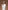 Sunday Citizen Cloud Cool Oversized Ribbed Buttoned Cardigan (more colors)