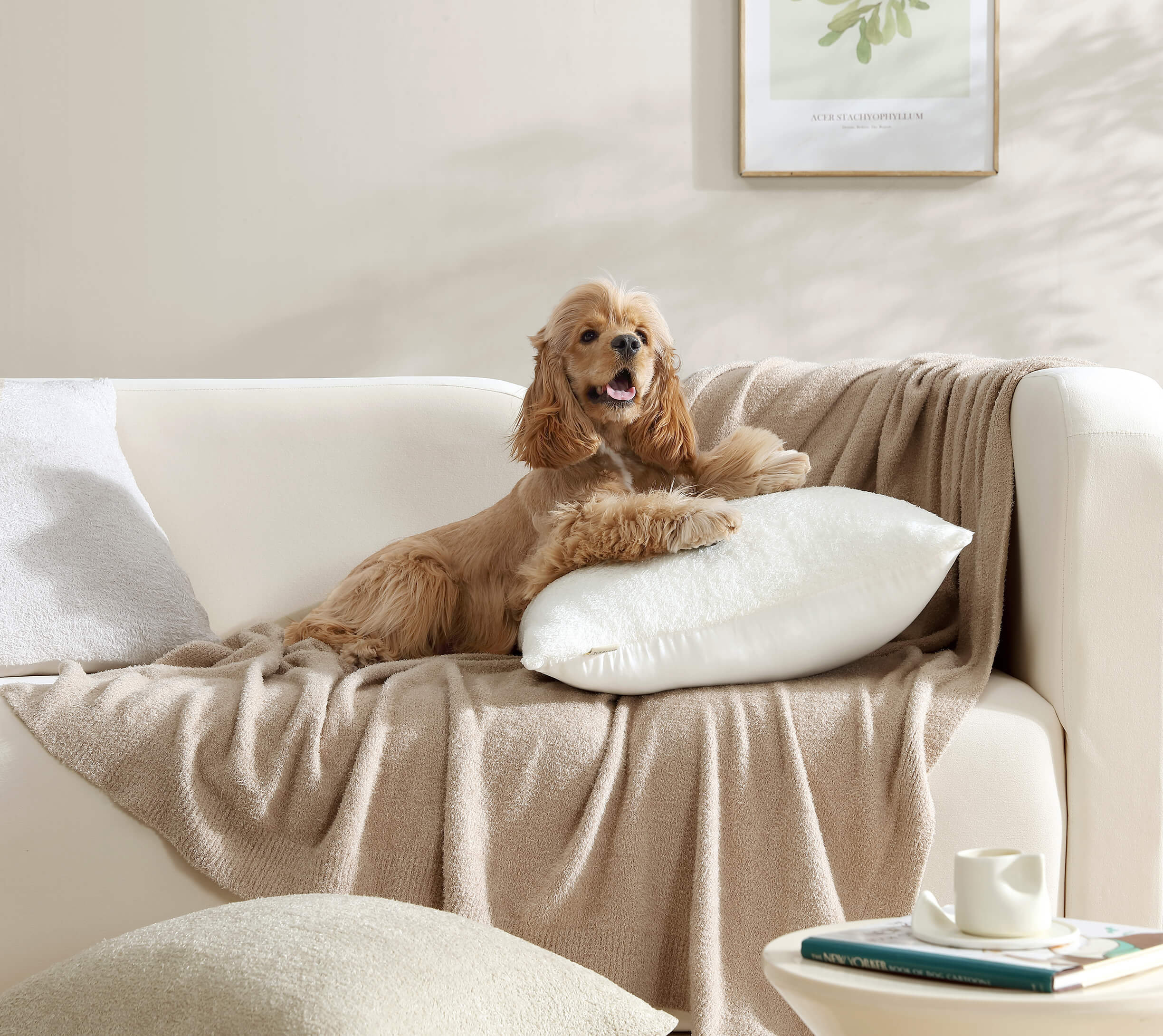 Sunday Citizen Cloud Silque Throw Pillow (more Colors)